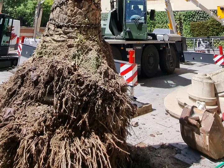 Trabajo real 47 de Grúas Claryfer
